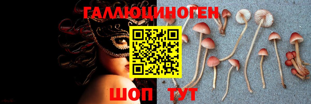 Ярцево  Псилоцибиновые грибы Magic Shrooms  купить закладку  Вход с VPN 